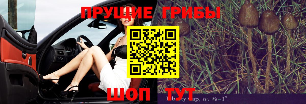 сколько стоит  Вход с VPN  Галлюциногенные грибы Cubensis  Стрежевой  Псилоцибиновые грибы прущие грибы 